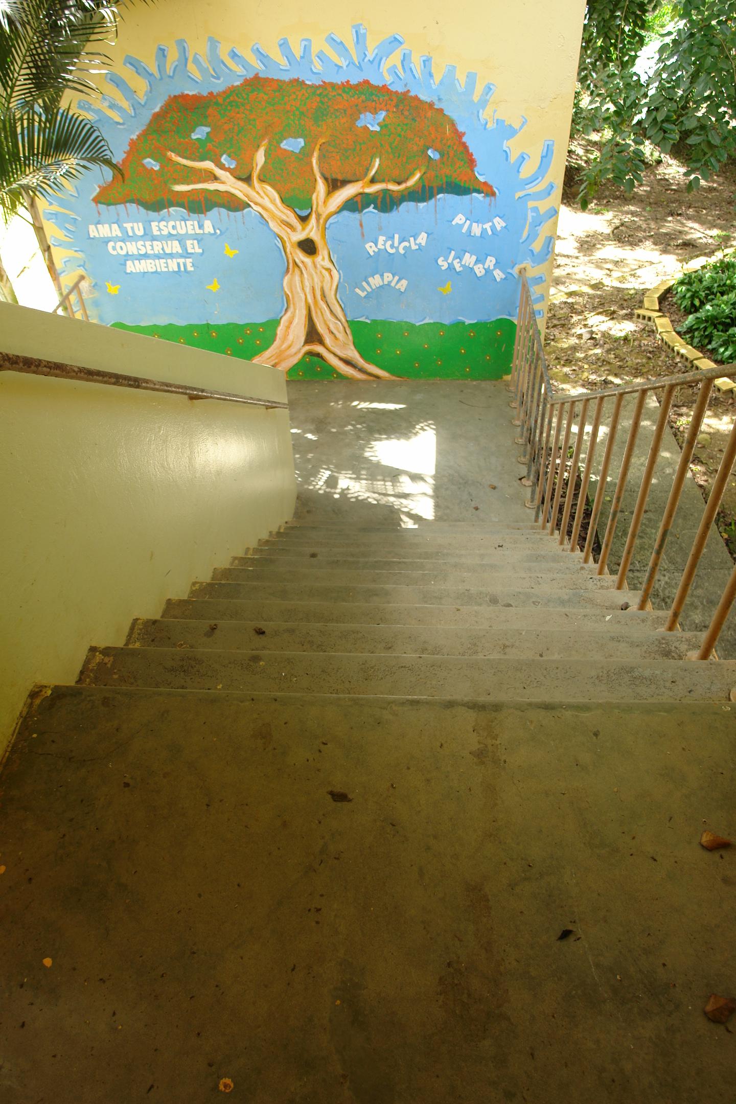 FDII - Aibonito - 2010 00079